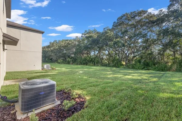 a view of a backyard with large trees