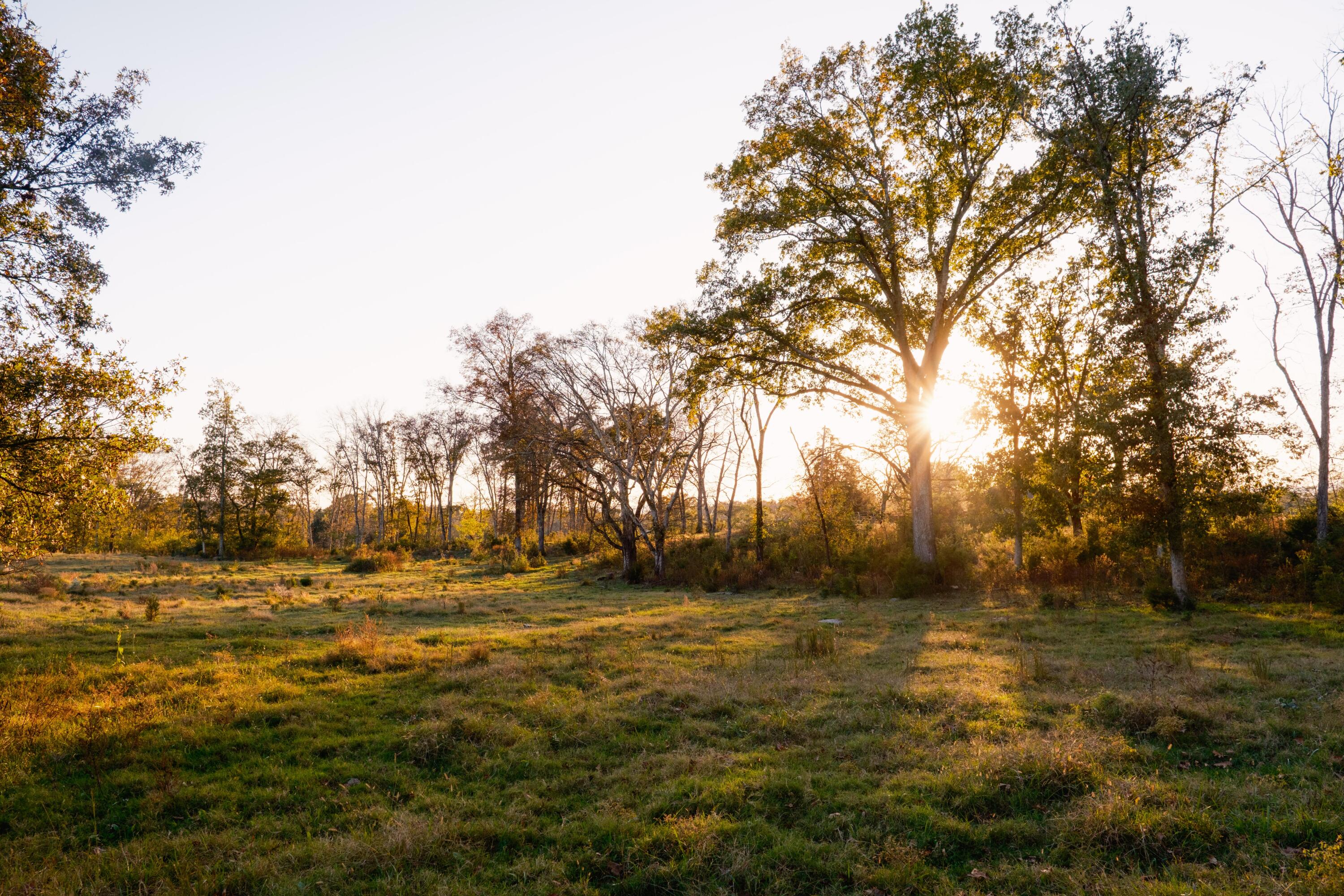 0 Lee Clarkson Road Chickamauga, GA 30707 - Photo 14 of 44 CGLF - 14