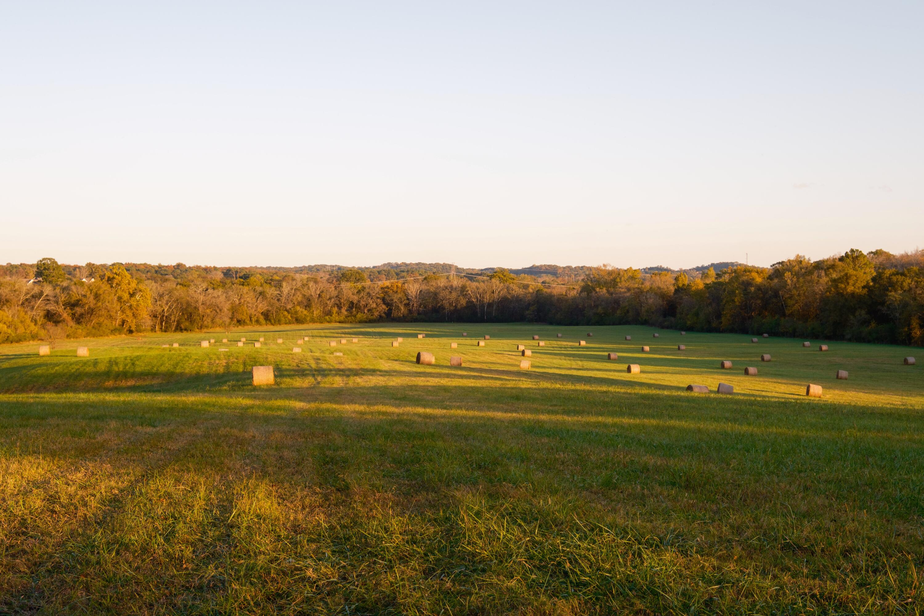 0 Lee Clarkson Road Chickamauga, GA 30707 - Photo 15 of 44 CGLF - 15