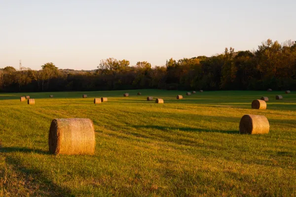 $6,080,000 | 0 Lee Clarkson Road, Chickamauga, GA 30707