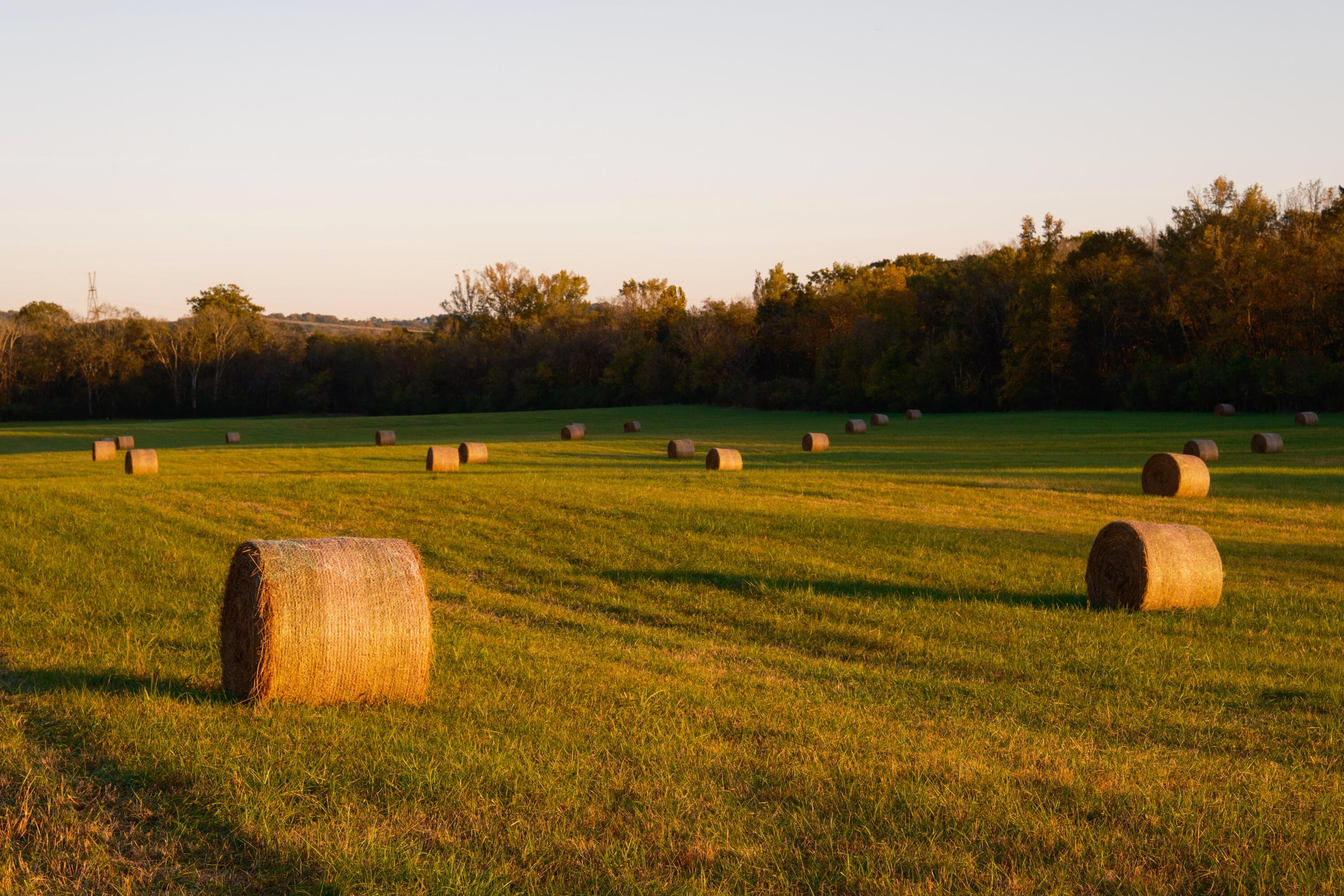 0 Lee Clarkson Road Chickamauga, GA 30707 - Photo 16 of 44 CGLF - 16