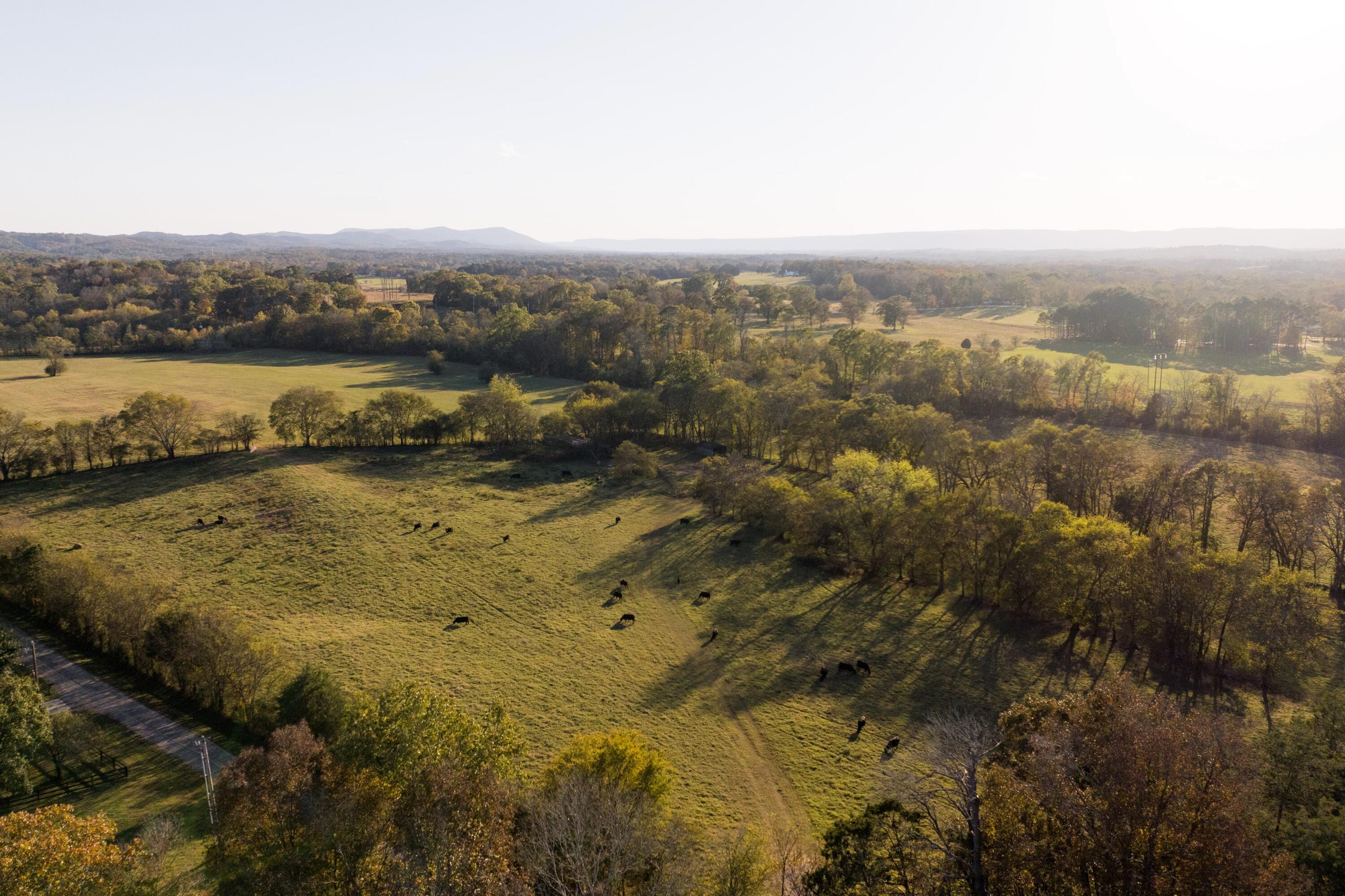 0 Lee Clarkson Road Chickamauga, GA 30707 - Photo 23 of 44 CGLF - 23