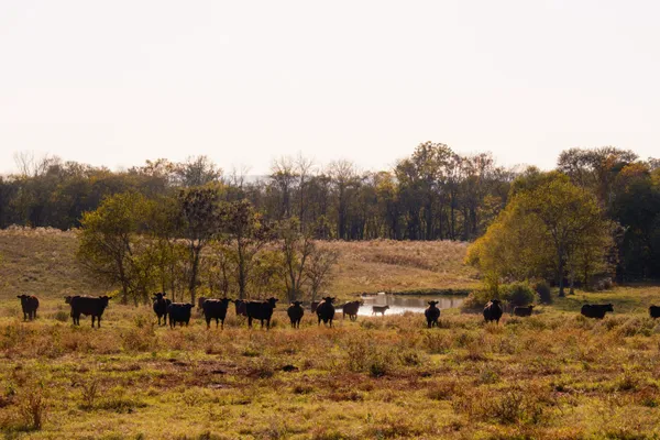 $6,080,000 | 0 Lee Clarkson Road, Chickamauga, GA 30707