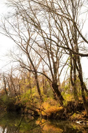 $6,080,000 | 0 Lee Clarkson Road, Chickamauga, GA 30707