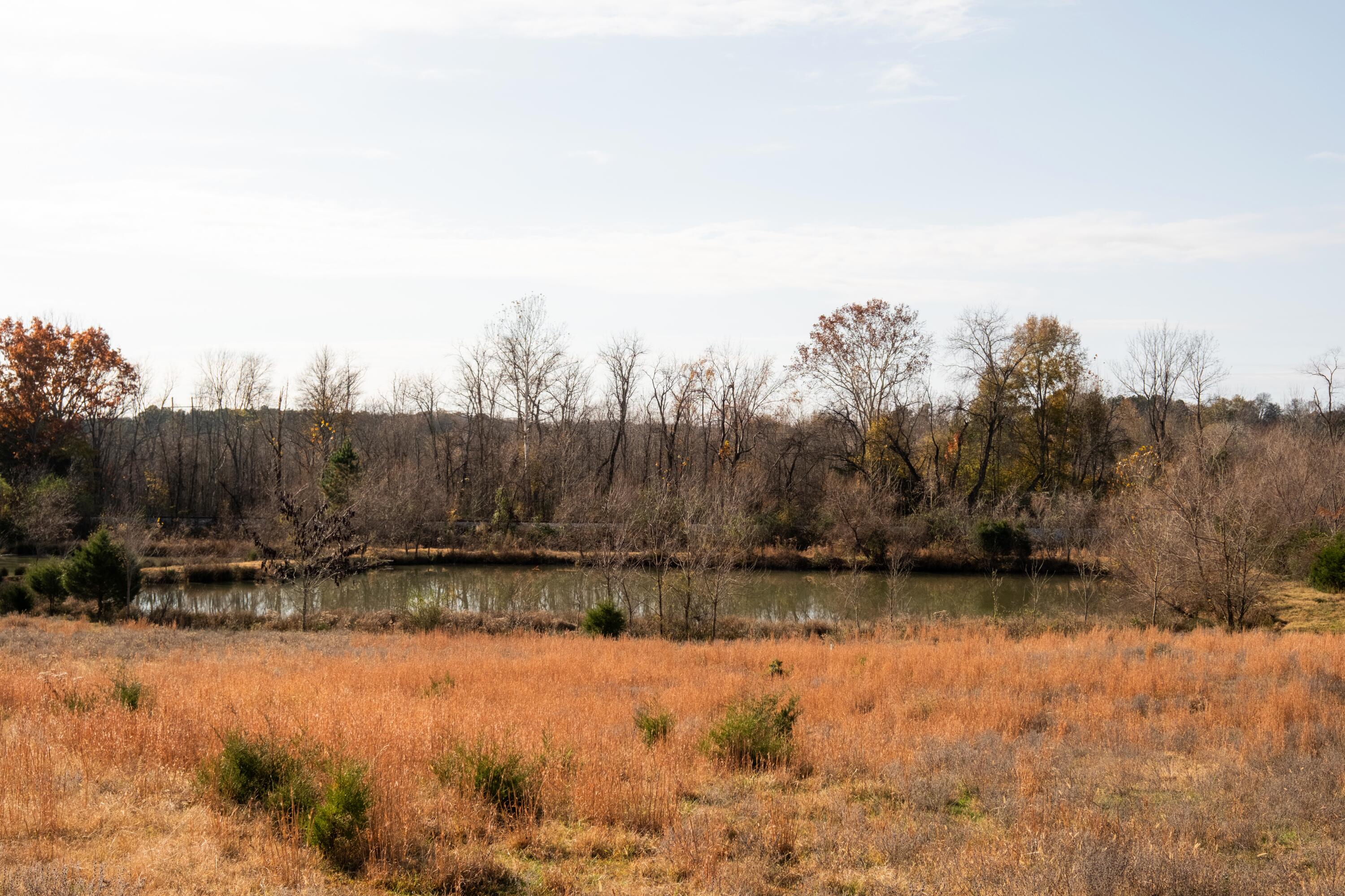 0 Lee Clarkson Road Chickamauga, GA 30707 - Photo 29 of 44 CGLF - 30