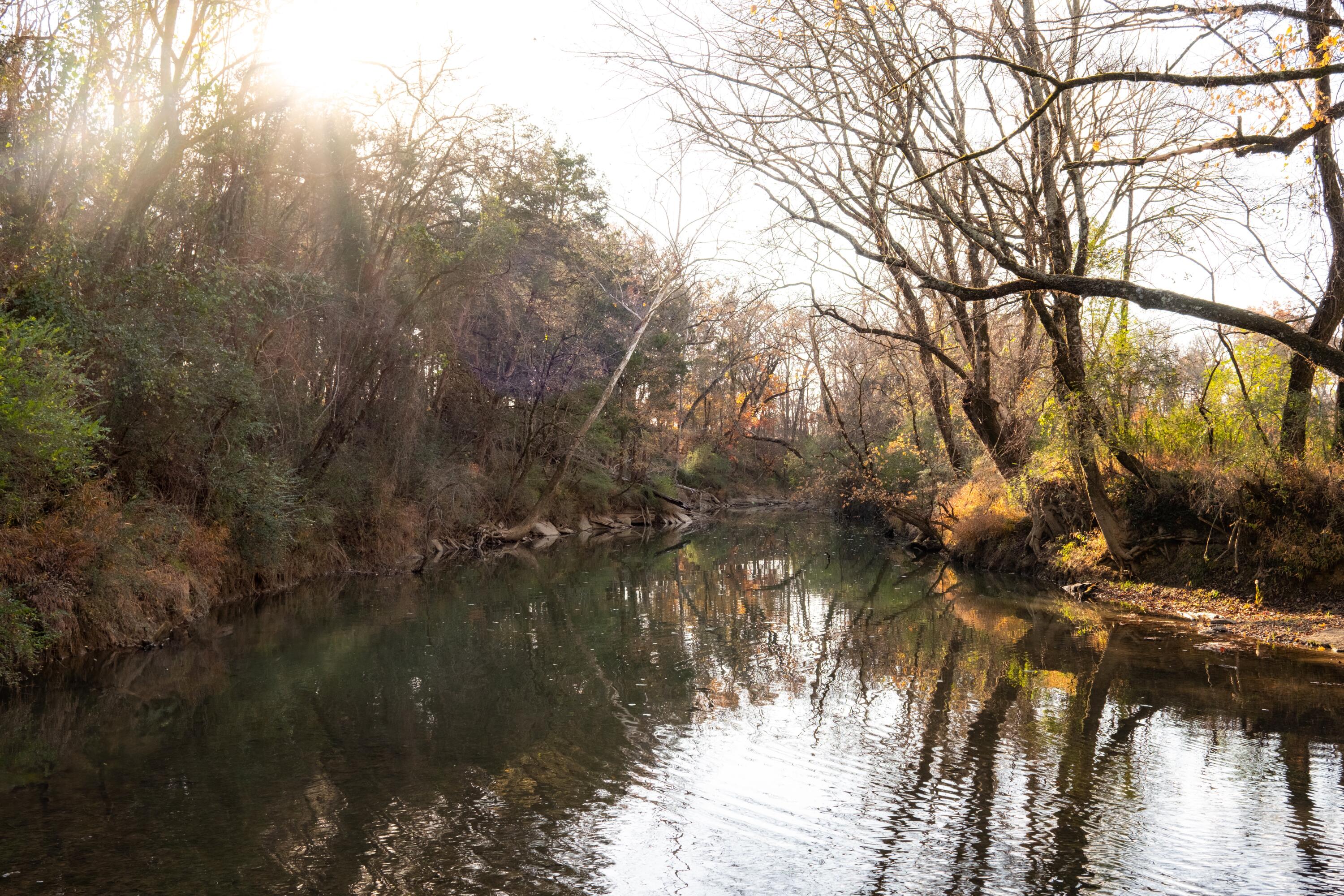 0 Lee Clarkson Road Chickamauga, GA 30707 - Photo 3 of 44 CGLF - 3
