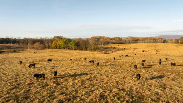 $6,080,000 | 0 Lee Clarkson Road, Chickamauga, GA 30707