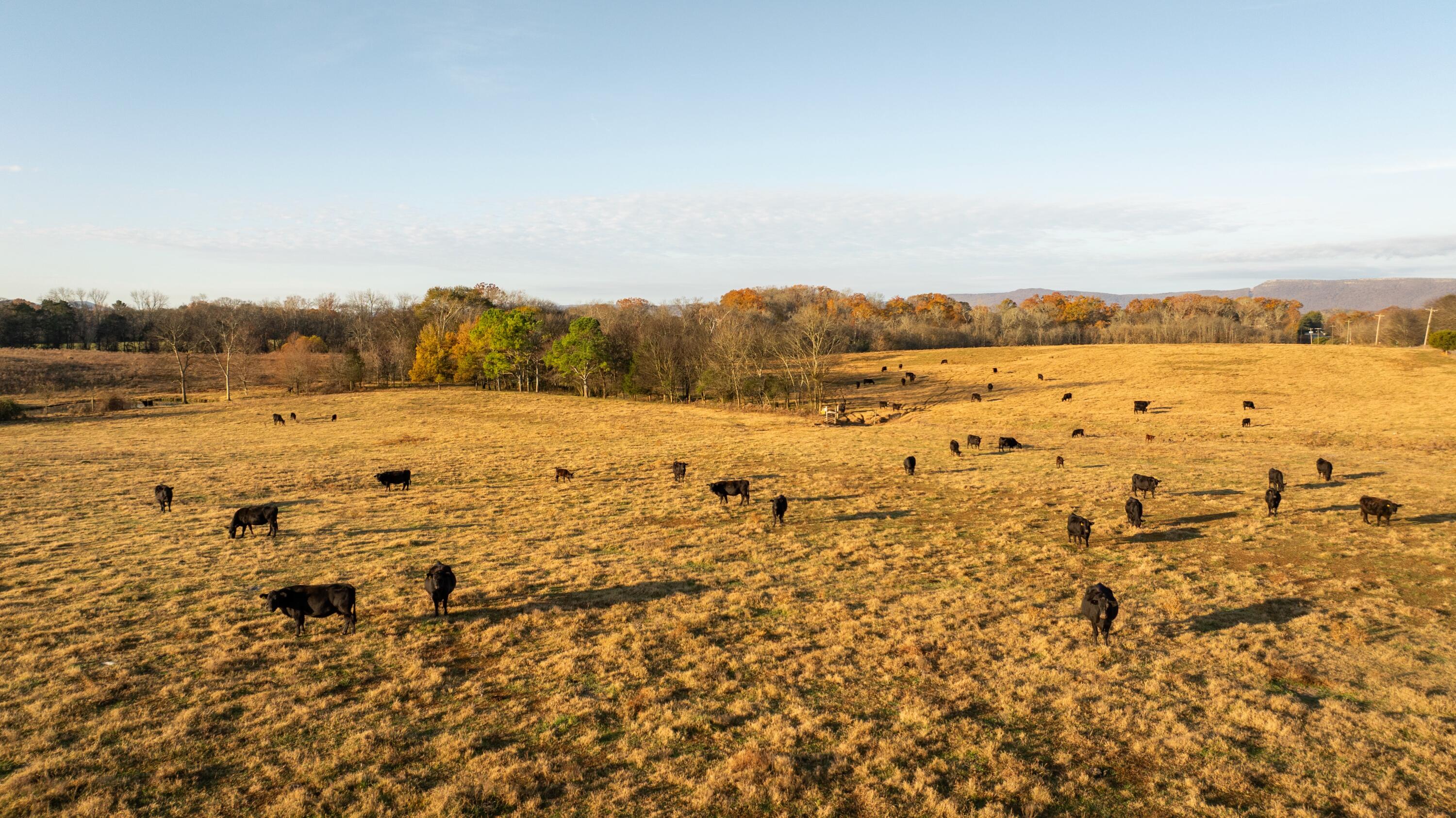 0 Lee Clarkson Road Chickamauga, GA 30707 - Photo 5 of 44 CGLF - 5