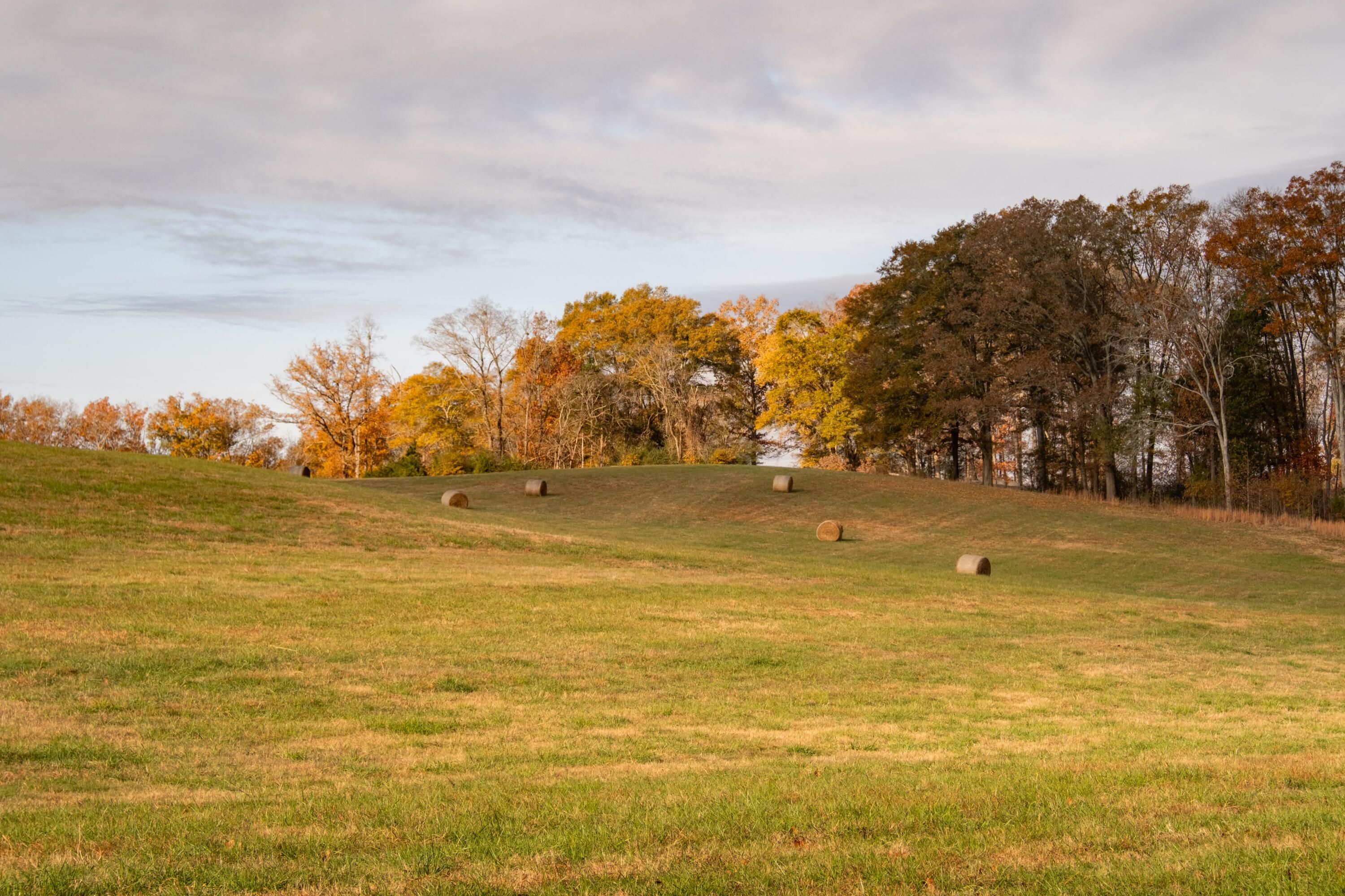 0 Lee Clarkson Road Chickamauga, GA 30707 - Photo 9 of 44 CGLF - 9
