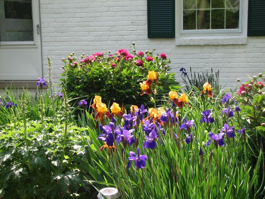 37 Forest Hills Road Lake Bluff, IL 60044 - Photo 51 of 52 a flower garden