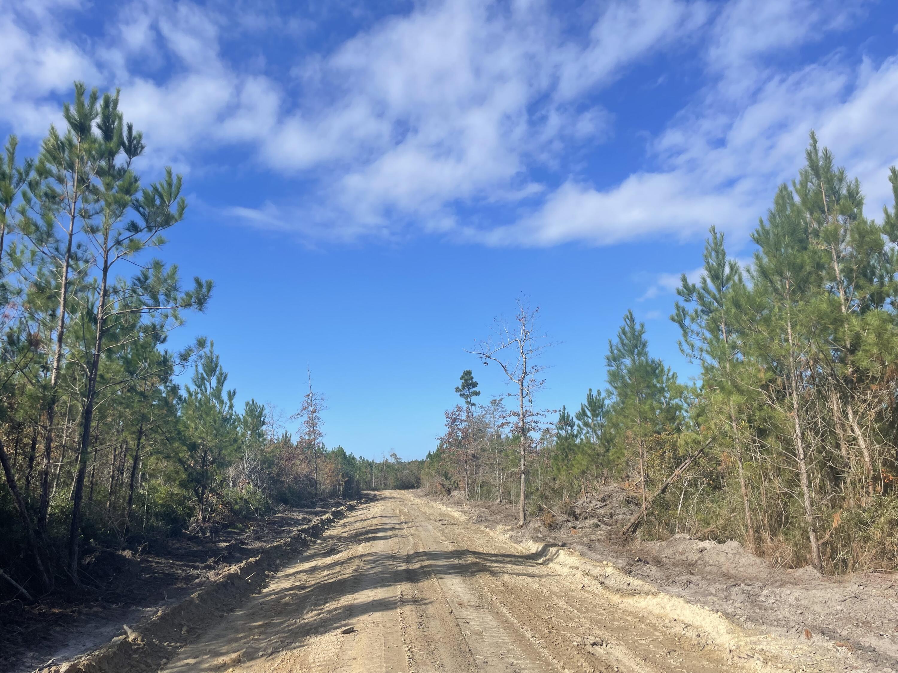 0 Weenee Road Jamestown, SC 29453 - Photo 2 of 2 savannah creek 5