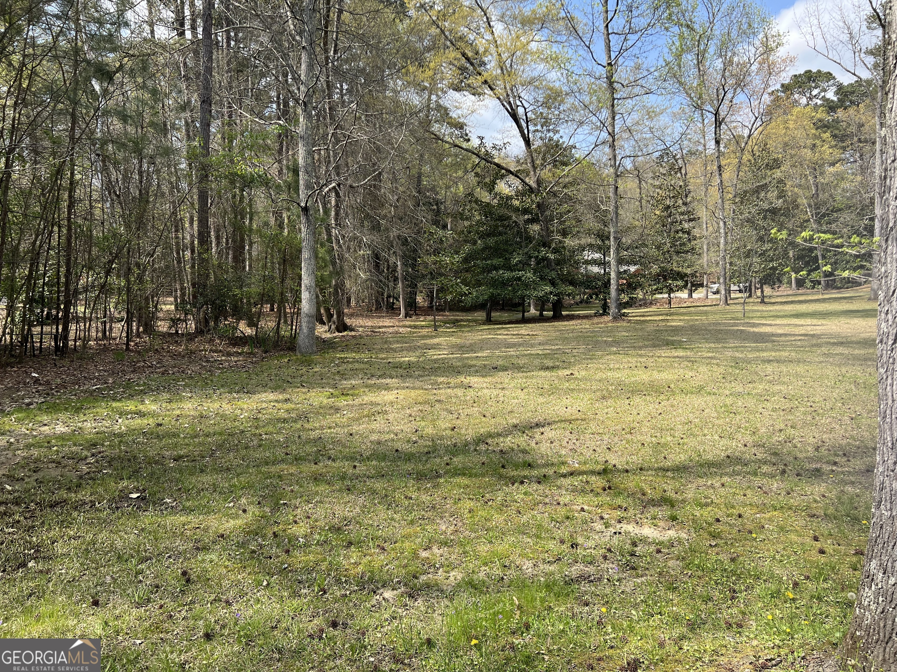 0 Horseleg Creek Road Southwest Rome, GA 30165 - Photo 1 of 1 Gallery Image 1
