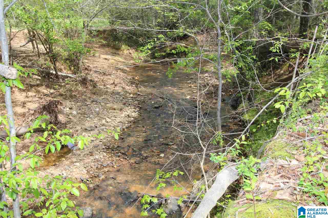 2695 McIntosh Road Oxford, AL 36203 - Photo 8 of 22