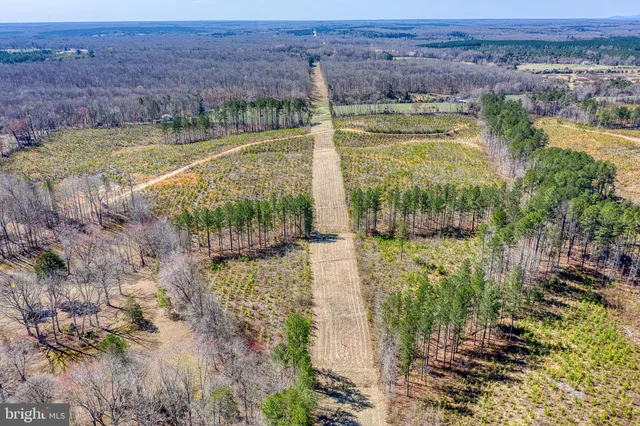 a view of a lake with a mountain in the background