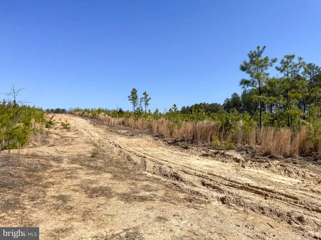 a view of a yard with a house