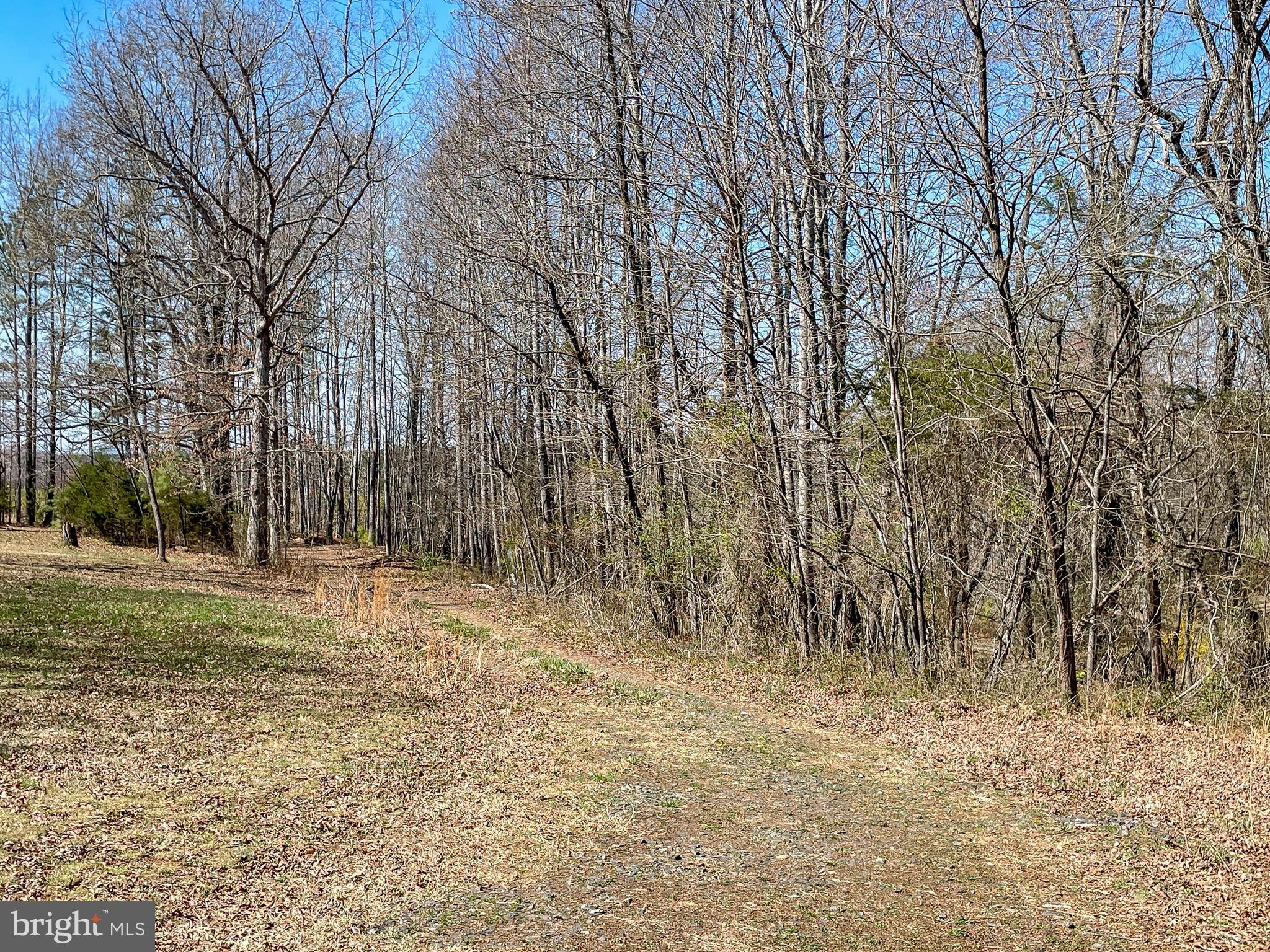 Yellowbottom Road Lignum, VA 22726 - Photo 8 of 18 a view of a yard with trees
