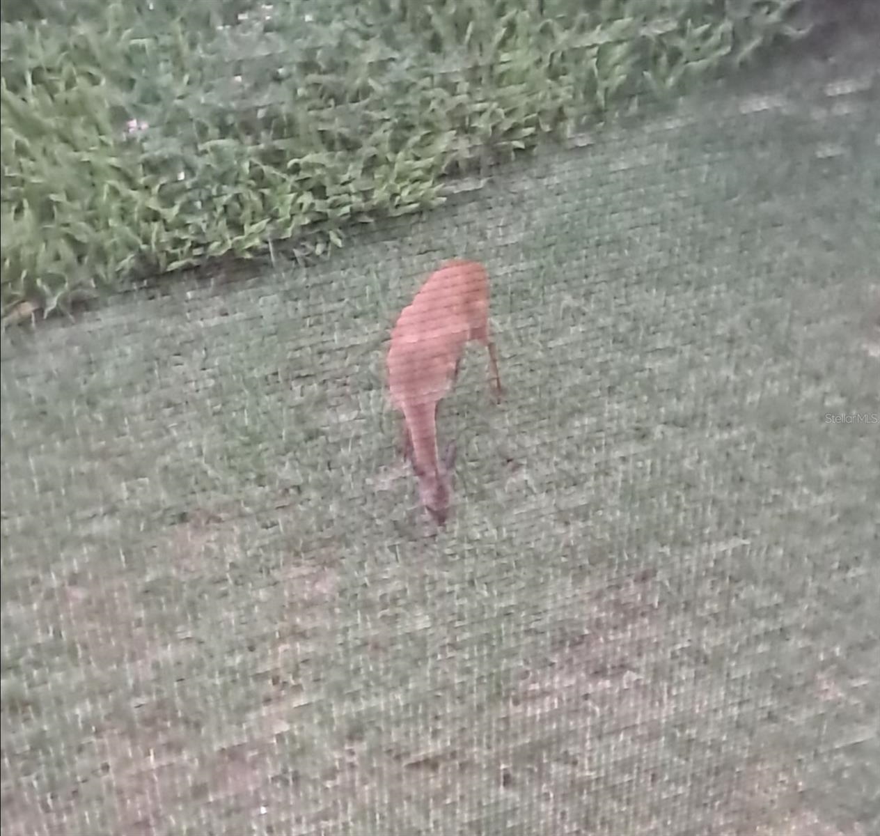 32 Navarra Court St. Augustine Shores, FL 32086 - Photo 36 of 40 a bathroom with a shower