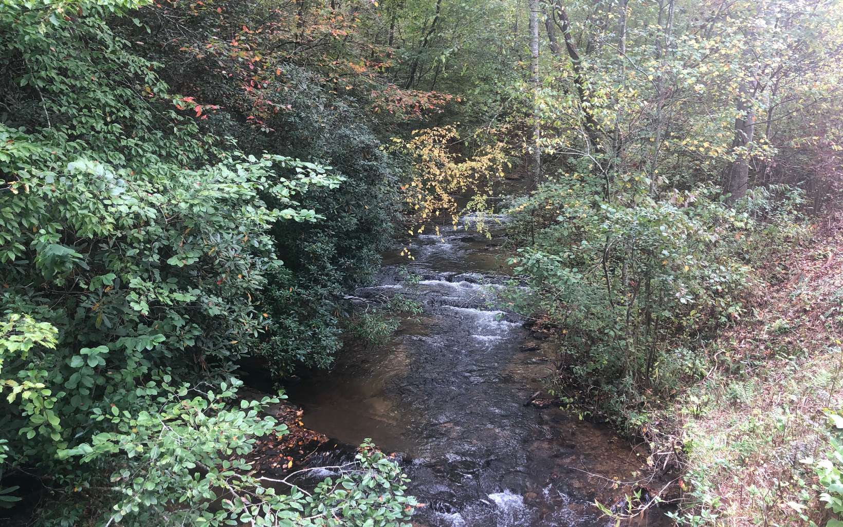 Ivylog Gap Road Young Harris, GA 30582 - Photo 1 of 4 Main View