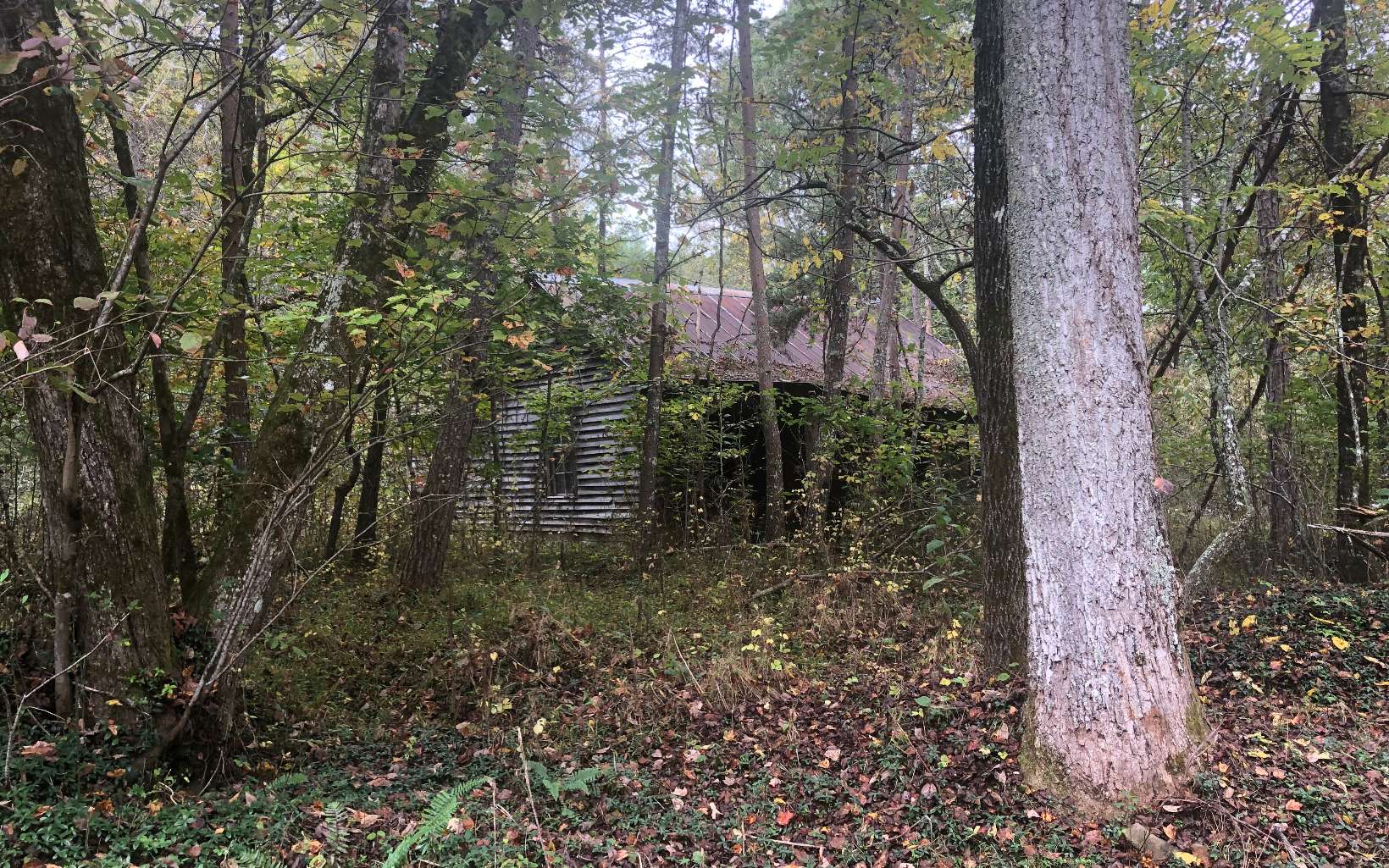 Ivylog Gap Road Young Harris, GA 30582 - Photo 3 of 4 Additional View