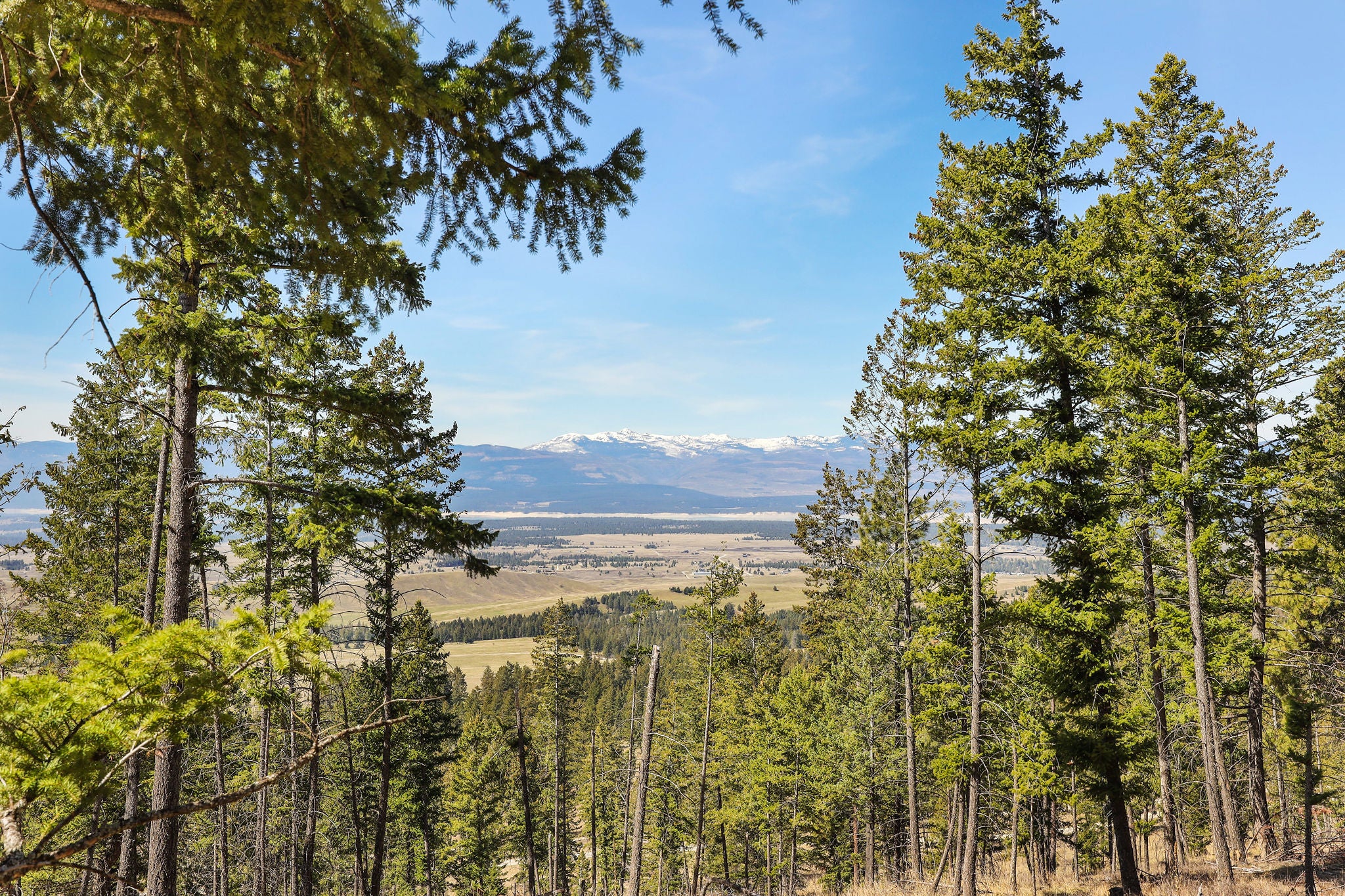 784 Plvid Road Eureka, MT 59917 - Photo 11 of 50 Gallery Image 11