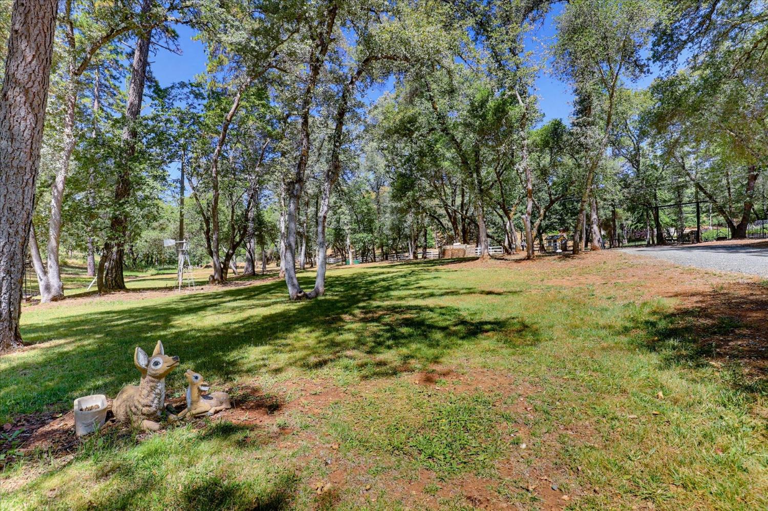 19407 Tiger Tail Road Grass Valley, CA 95949 - Photo 58 of 93