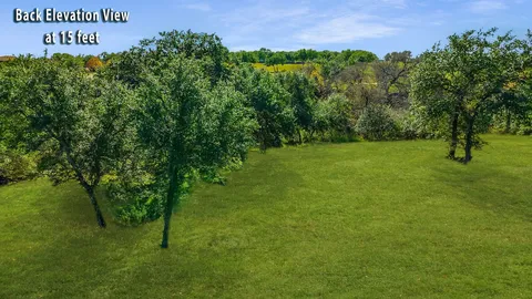 a view of a field with a tree in a yard