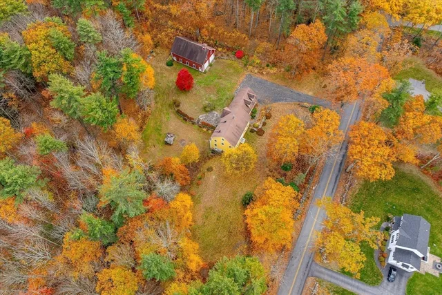 a view of a yard with plants