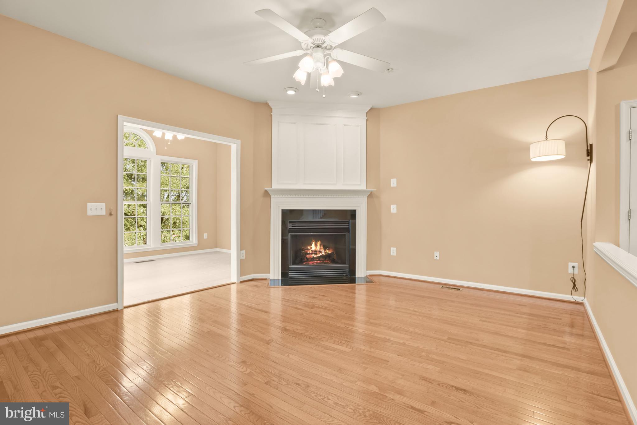 8266 Academy Road, Unit 2 Ellicott City, MD 21043 - Photo 6 of 58 Living room features a gas fireplace