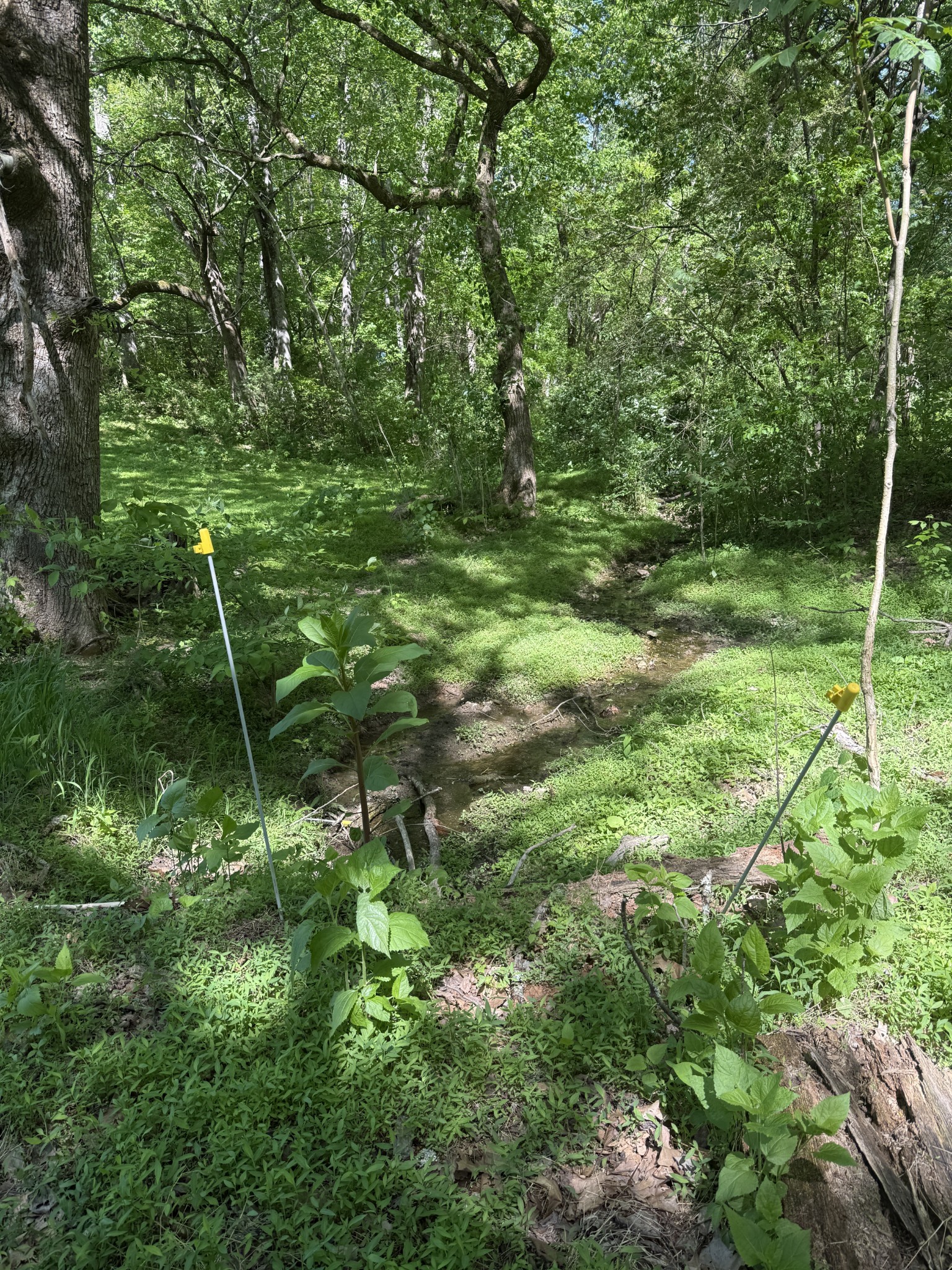 540 Powell Hollow Road Tullahoma, TN 37388 - Photo 96 of 99 Gallery Image 96