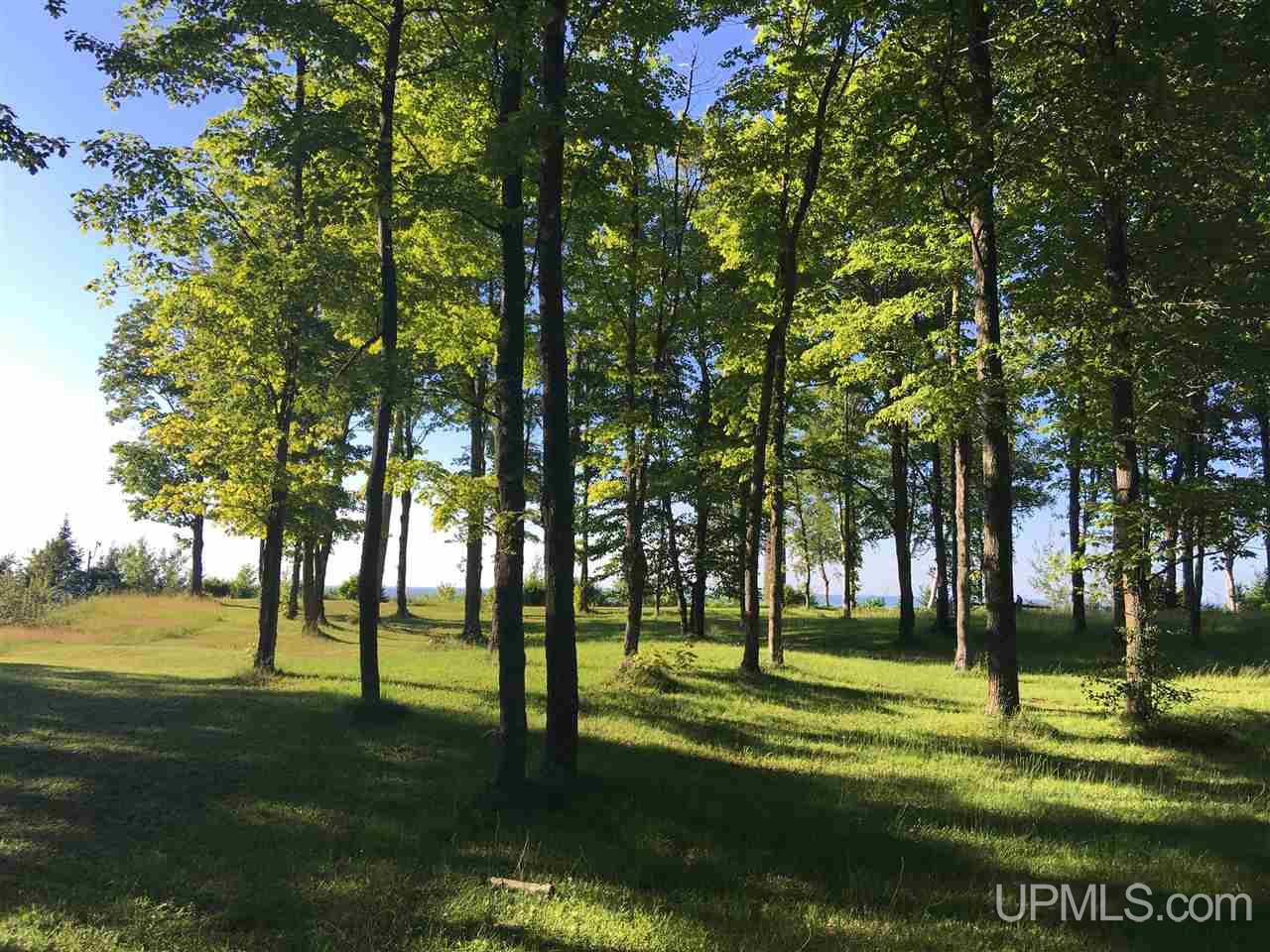 10638 Freda Road Atlantic Mine, MI 49905 - Photo 10 of 36 Gallery Image 10