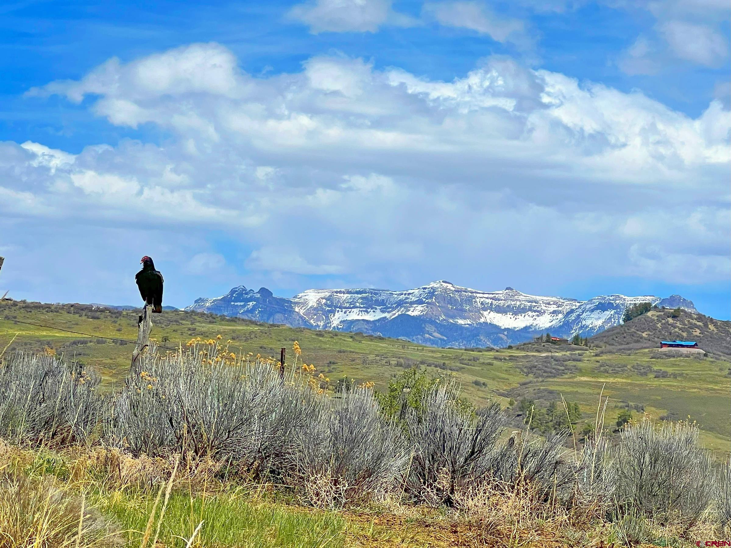 223 Spg Vly Rnch Road Chromo, CO 81128 - Photo 11 of 32 a view of a lake and a mountain