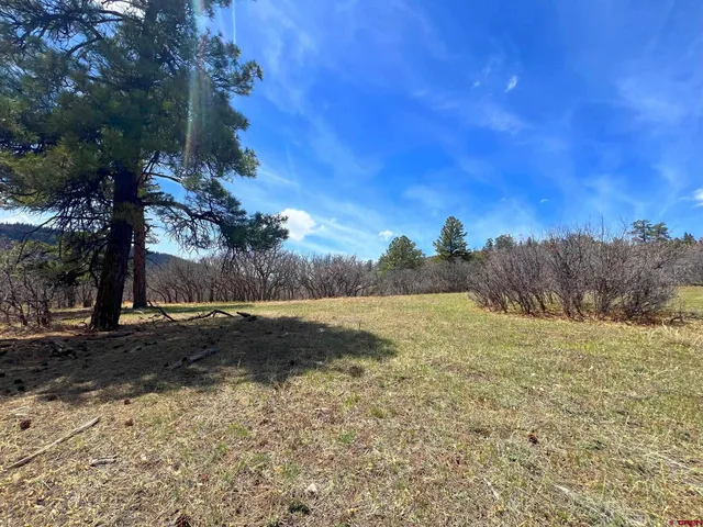 a view of a lake with a yard