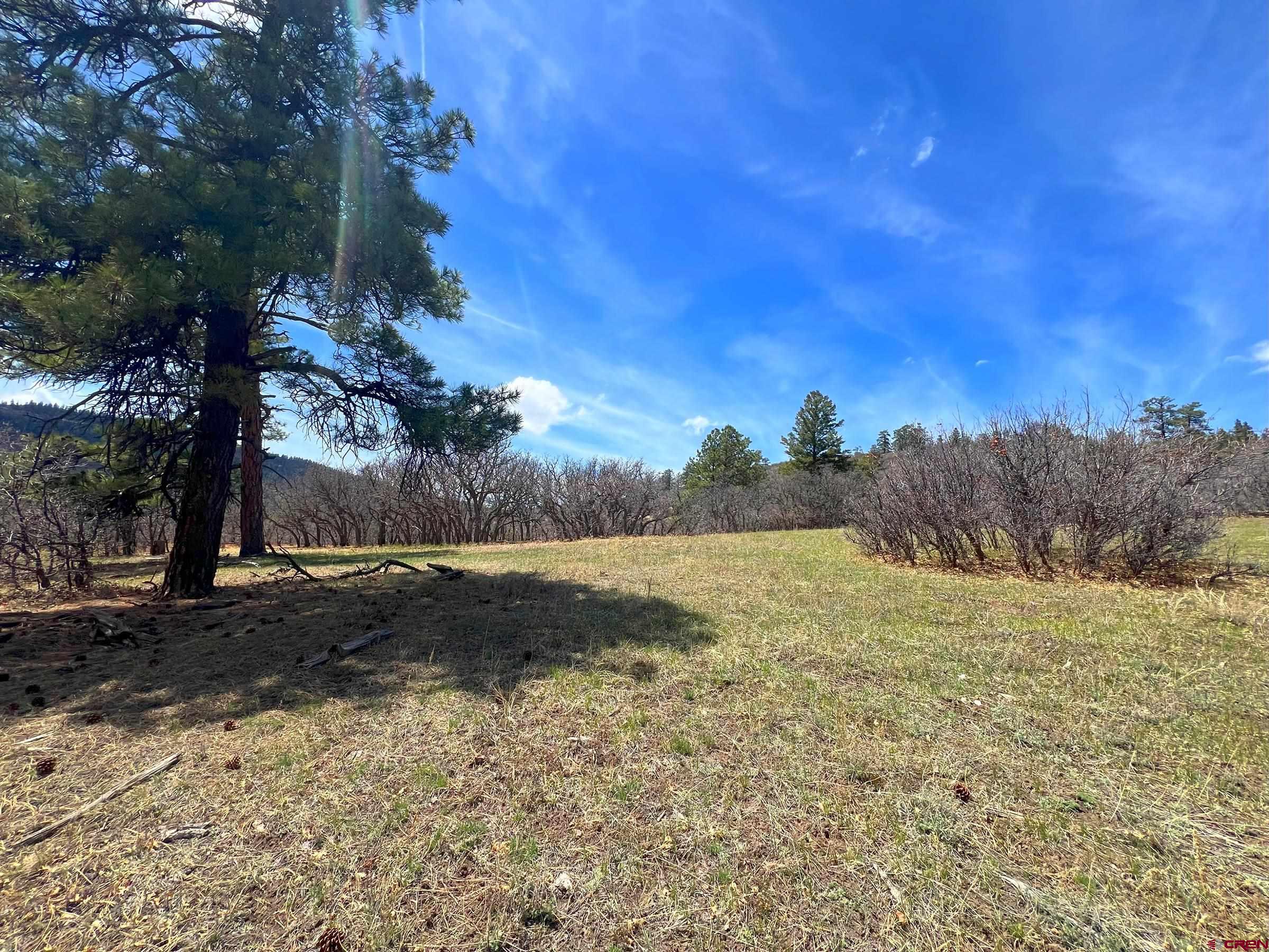223 Spg Vly Rnch Road Chromo, CO 81128 - Photo 12 of 32 a view of a yard with a house