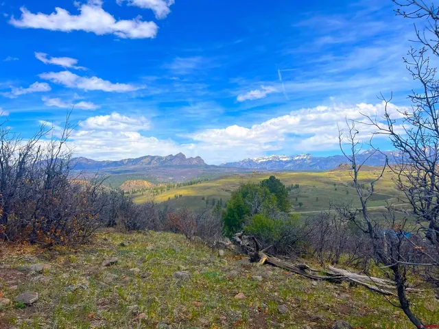 a view of a yard with a table and chairs