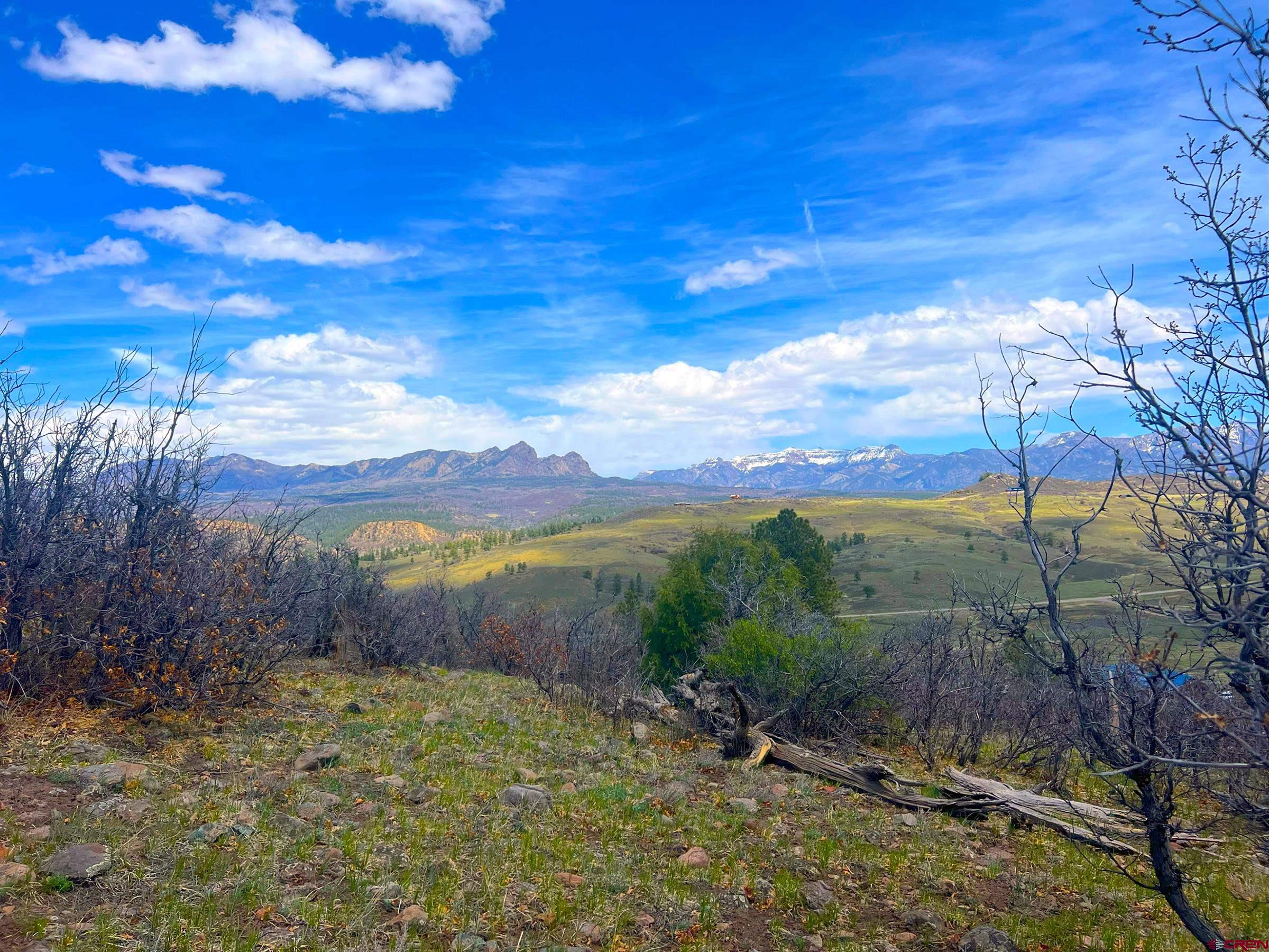 223 Spg Vly Rnch Road Chromo, CO 81128 - Photo 17 of 32 a view of a yard with an outdoor space
