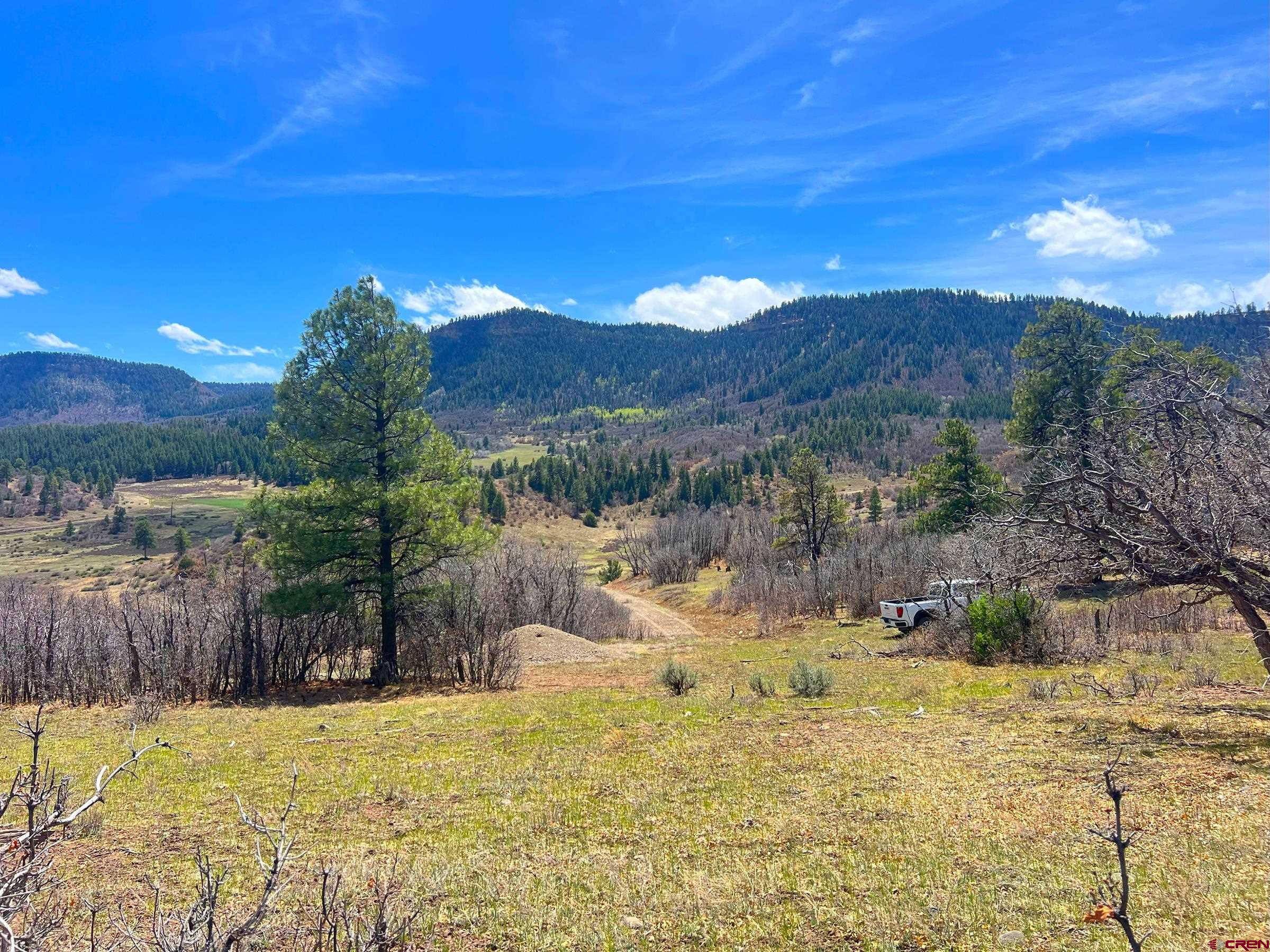 223 Spg Vly Rnch Road Chromo, CO 81128 - Photo 19 of 32 a view of a backyard