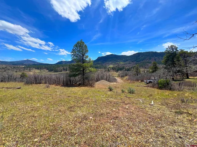 a view of a bunch of trees