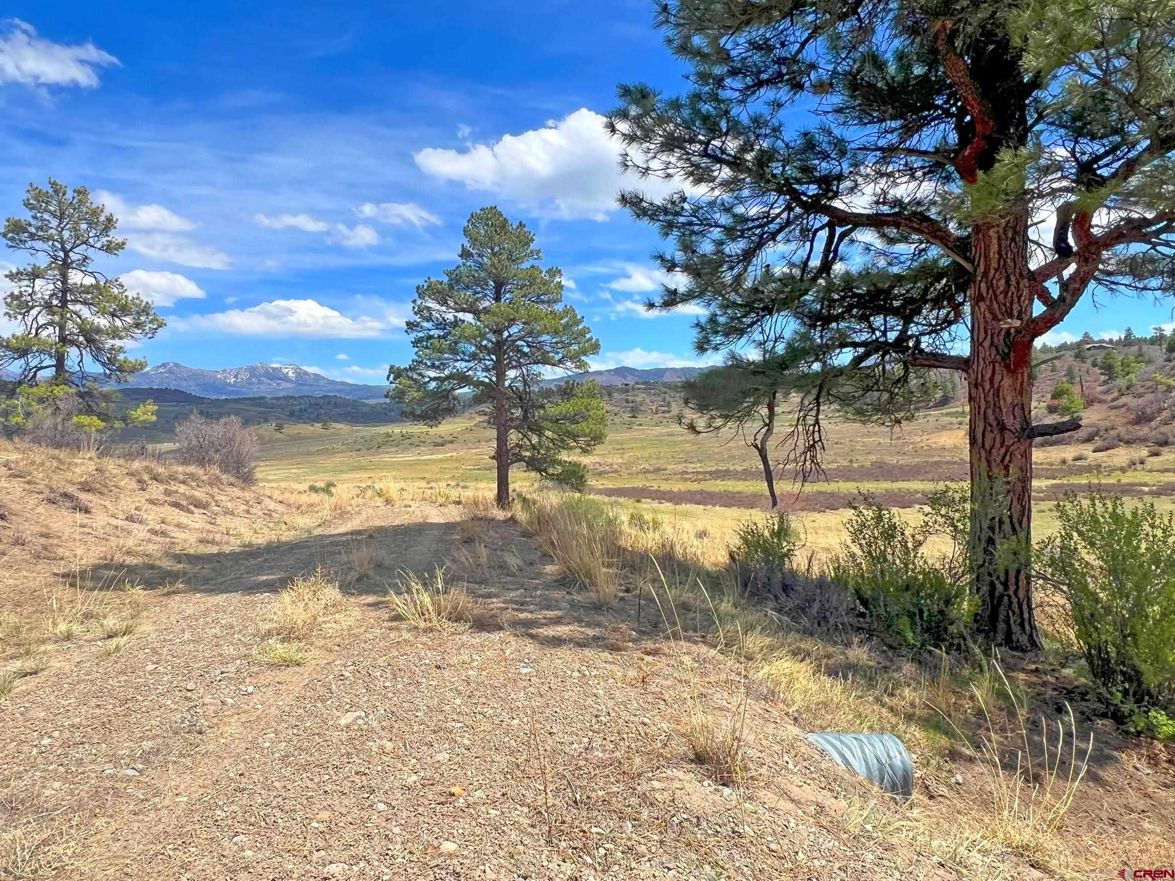 223 Spg Vly Rnch Road Chromo, CO 81128 - Photo 22 of 32