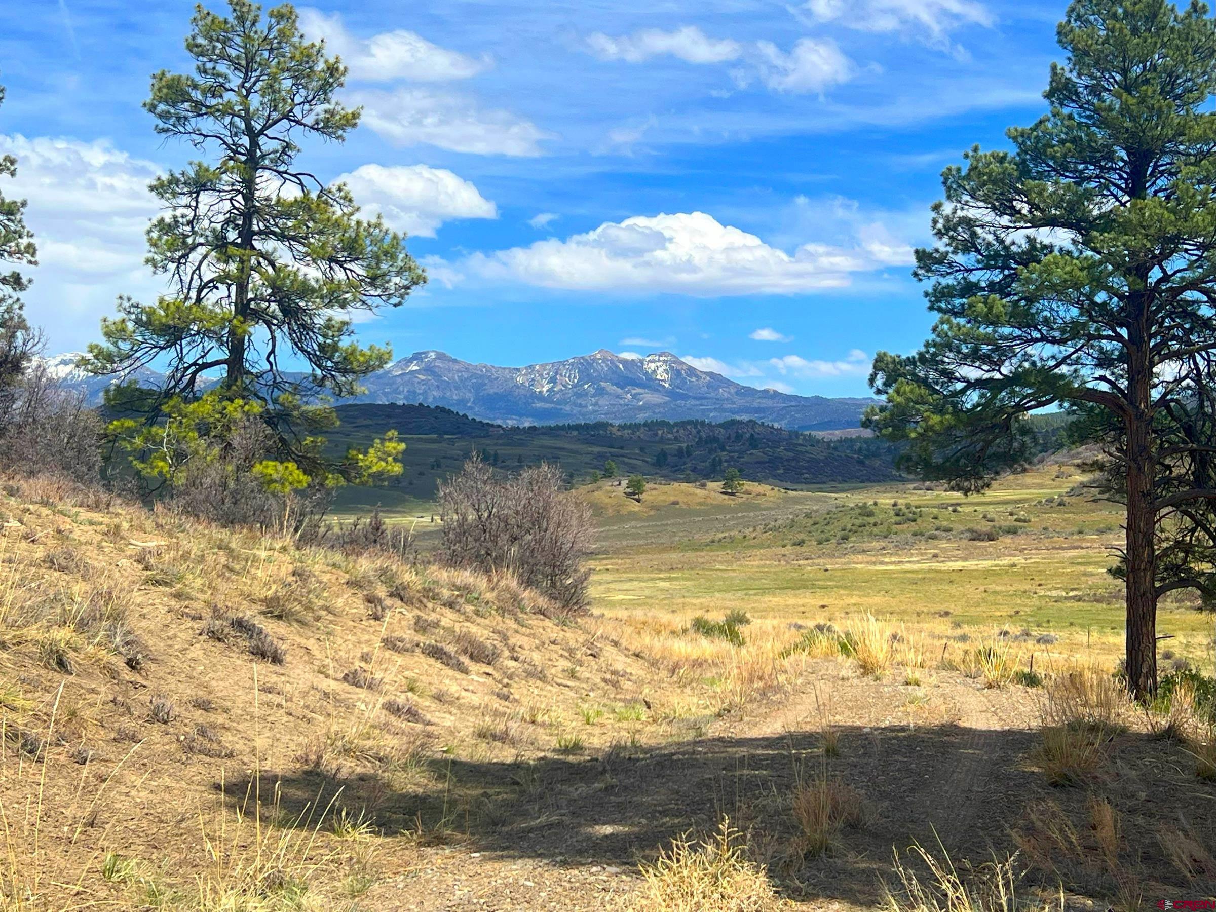 223 Spg Vly Rnch Road Chromo, CO 81128 - Photo 23 of 32 a view of an ocean and a mountain