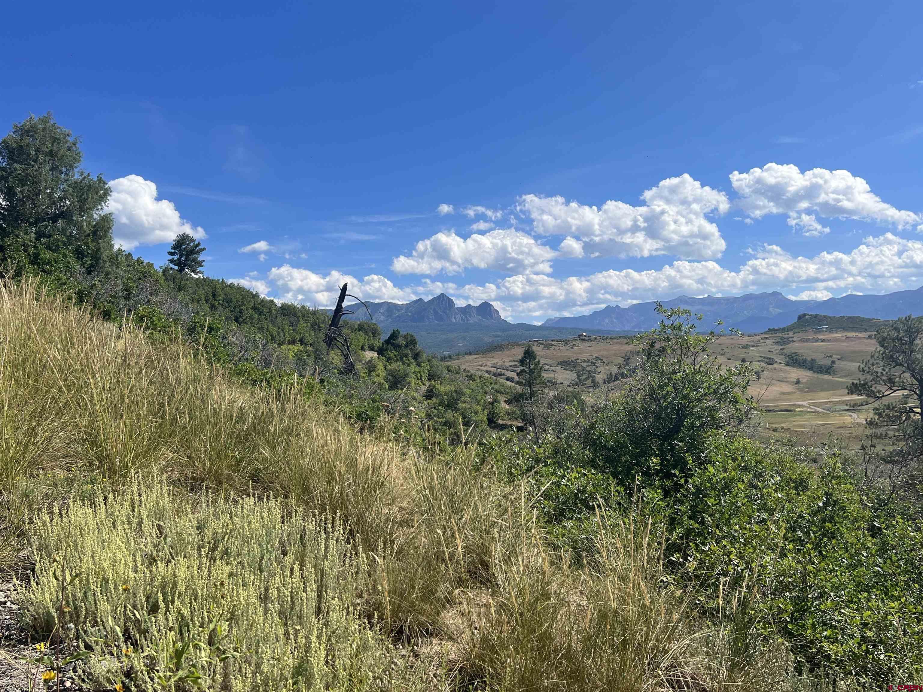 223 Spg Vly Rnch Road Chromo, CO 81128 - Photo 27 of 32 a view of a bunch of trees