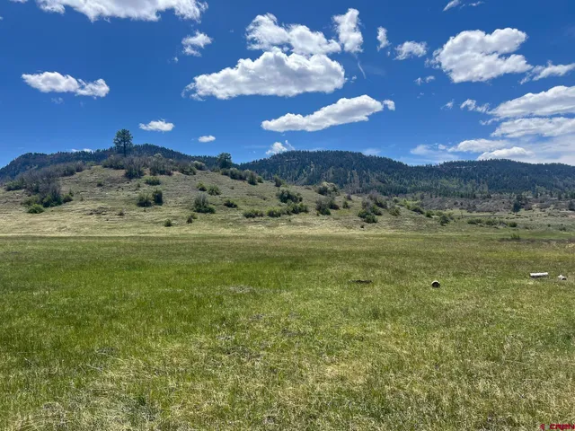 $579,000 | 223 Spg Vly Rnch Road, Chromo, CO 81128