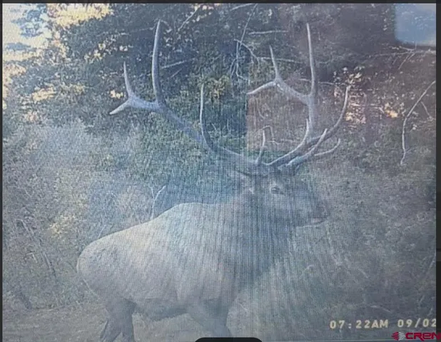 $579,000 | 223 Spg Vly Rnch Road, Chromo, CO 81128