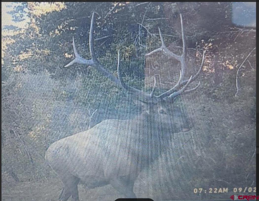 223 Spg Vly Rnch Road Chromo, CO 81128 - Photo 32 of 32 a bathroom with a shower
