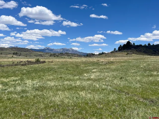 a view of an ocean from a yard
