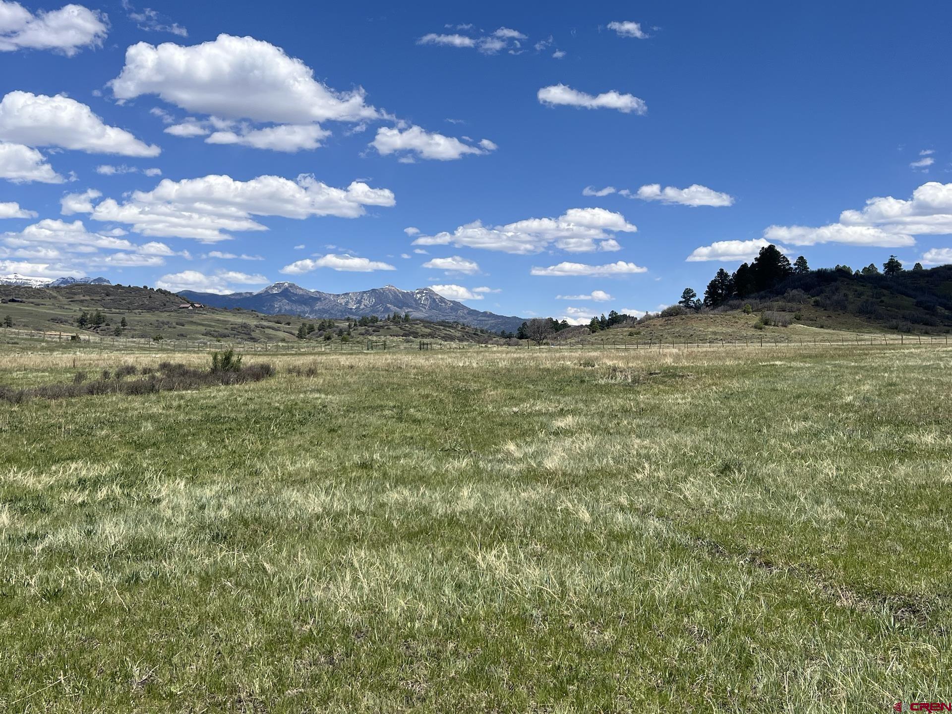 223 Spg Vly Rnch Road Chromo, CO 81128 - Photo 4 of 32 a view of an outdoor space and yard
