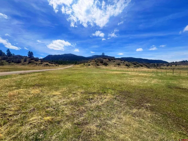 a view of ocean with green space