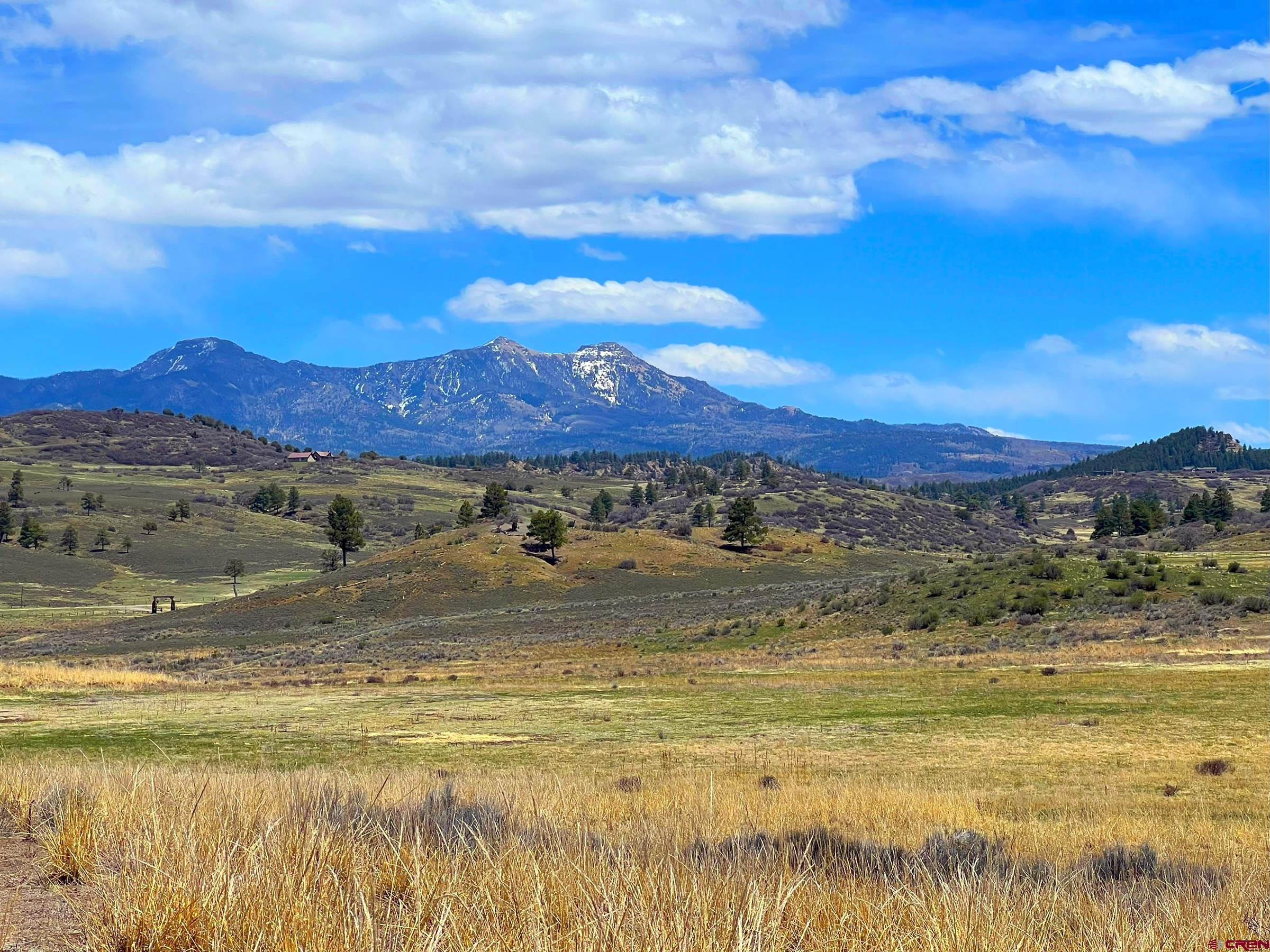 223 Spg Vly Rnch Road Chromo, CO 81128 - Photo 6 of 32 a view of ocean with green space