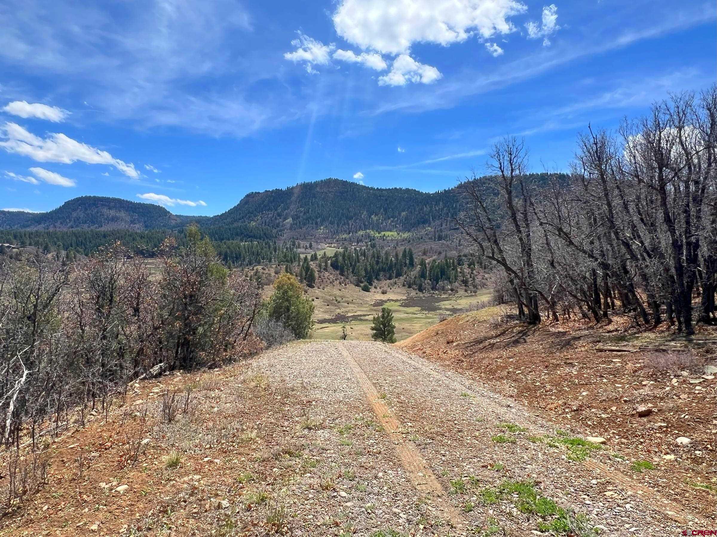 223 Spg Vly Rnch Road Chromo, CO 81128 - Photo 10 of 32 a view of a backyard with green space