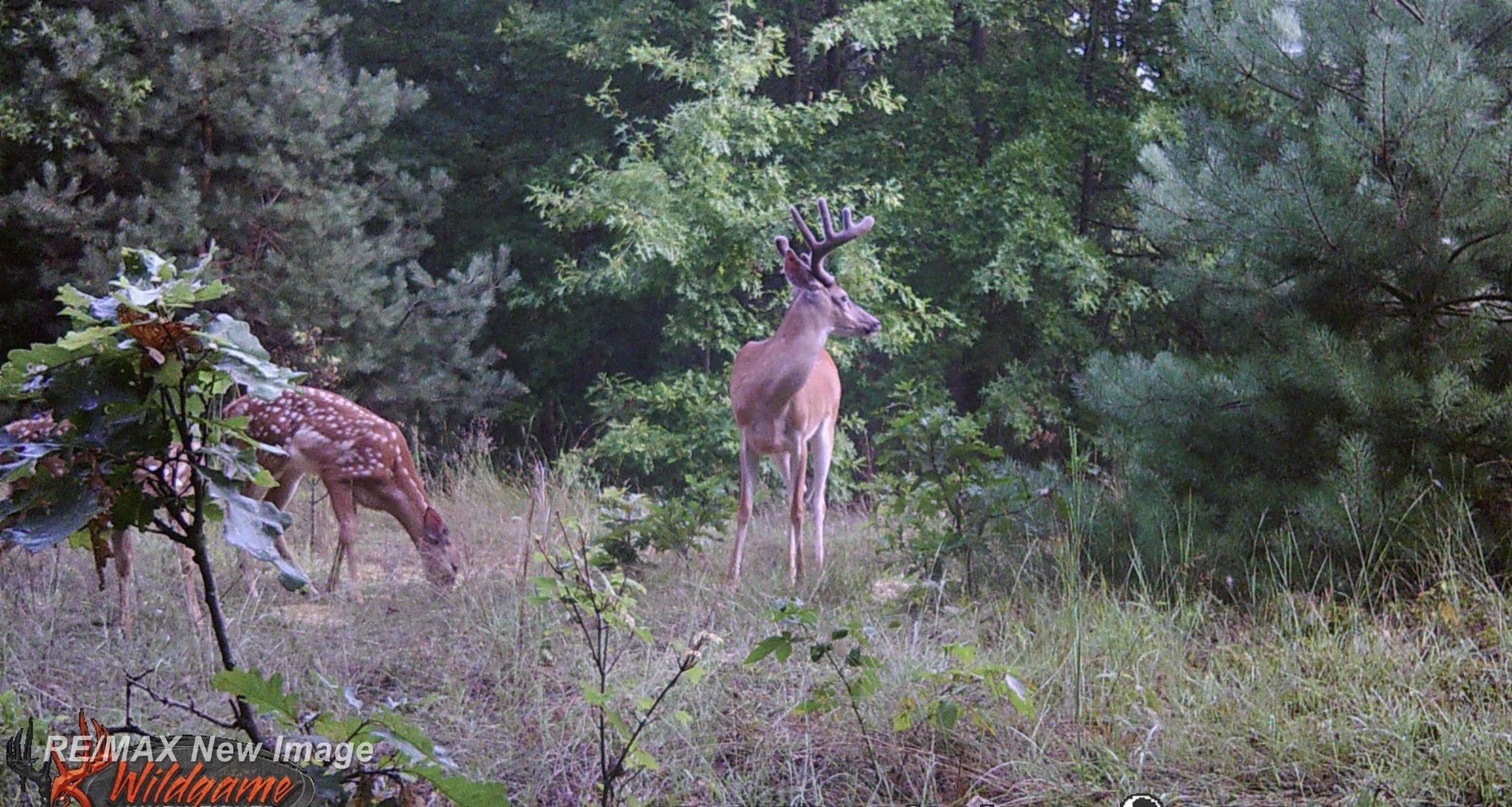 15905 West Burt Road Chesaning, MI 48616 - Photo 67 of 76 50143281-1aa7bcb2-8dea-49ab-8e89-bd926cec4777.JPG