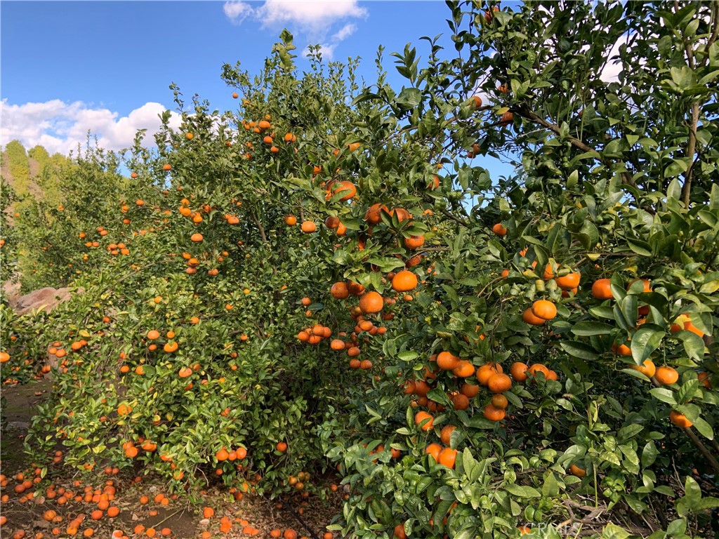 45860 Cll Cuero Temecula, CA 92590 - Photo 2 of 7